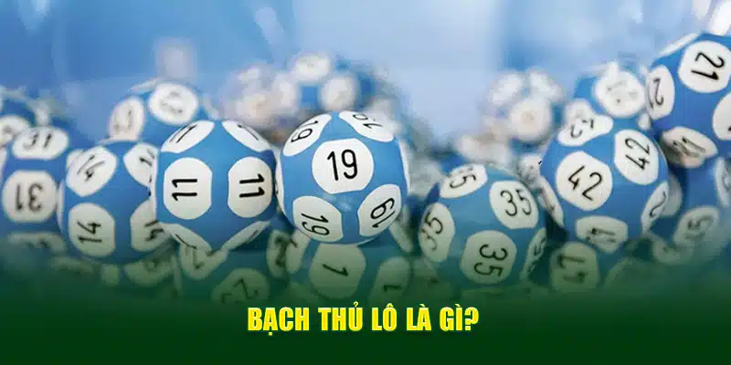 Bạch thủ lô là gì?