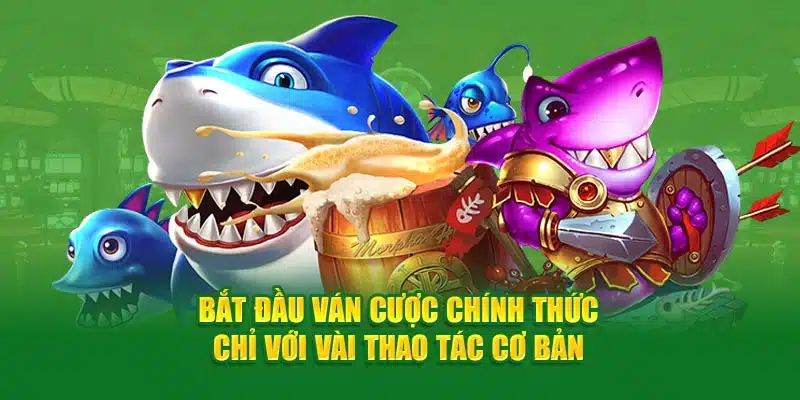 Bắt đầu ván cược chính thức chỉ với vài thao tác cơ bản