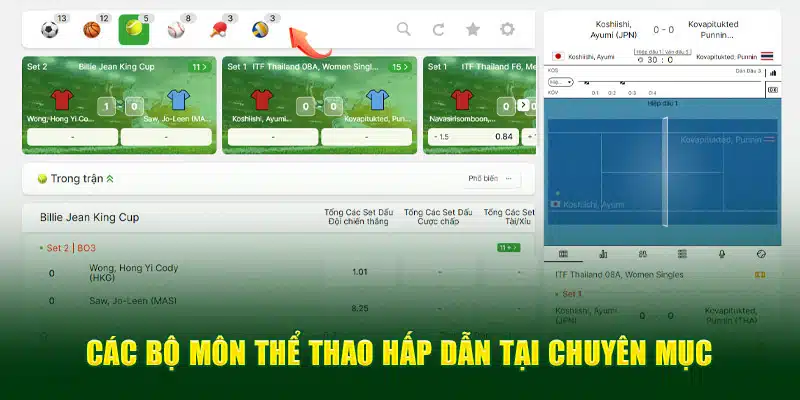 Các bộ môn thể thao hấp dẫn tại chuyên mục