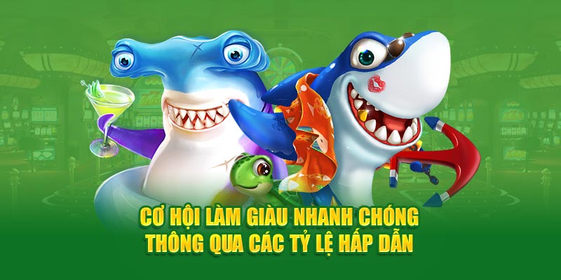 Cơ hội làm giàu nhanh chóng thông qua các tỷ lệ hấp dẫn