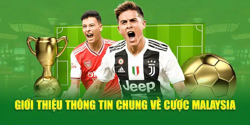 Giới thiệu thông tin chung về cược Malaysia