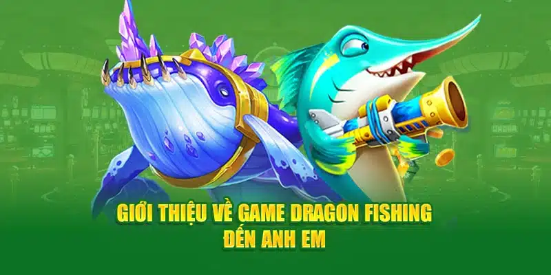 Giới thiệu về game Dragon Fishing đến anh em