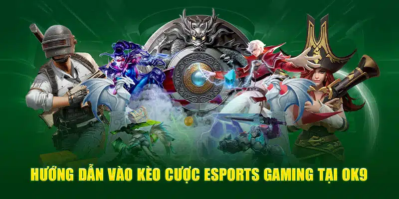 Hướng dẫn vào kèo cược Esports OK9