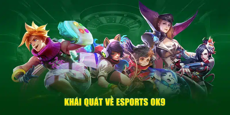 Khái quát về Esports OK9 