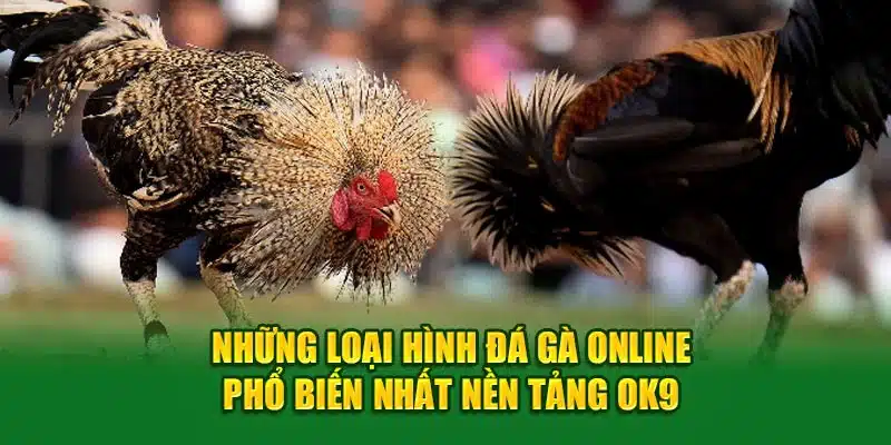 Những loại hình Đá Gà online phổ biến nhất nền tảng ok9