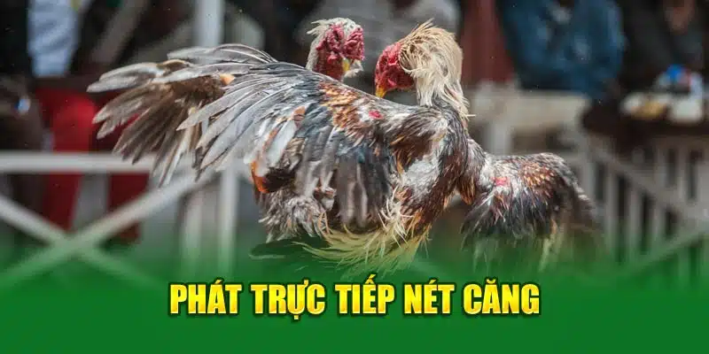 Phát trực tiếp nét căng