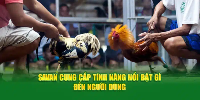 Savan cung cấp tính năng nổi bật gì đến người dùng