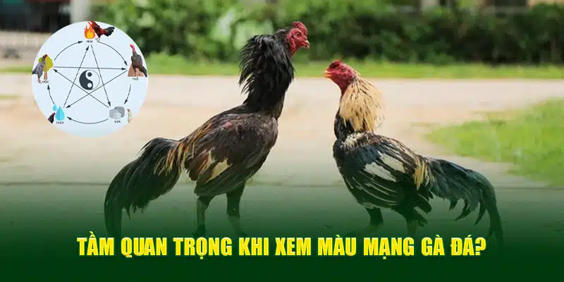 Tầm quan trọng khi xem màu mạng gà đá?