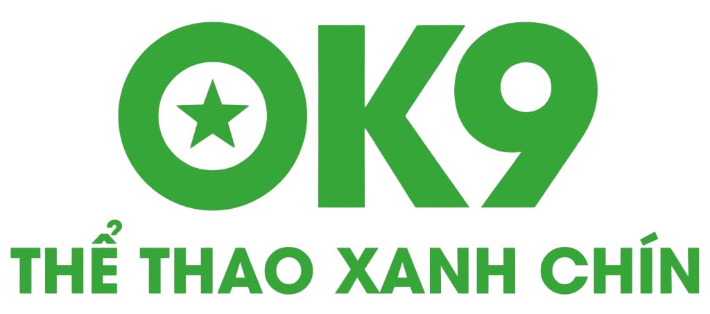 ok9119.com